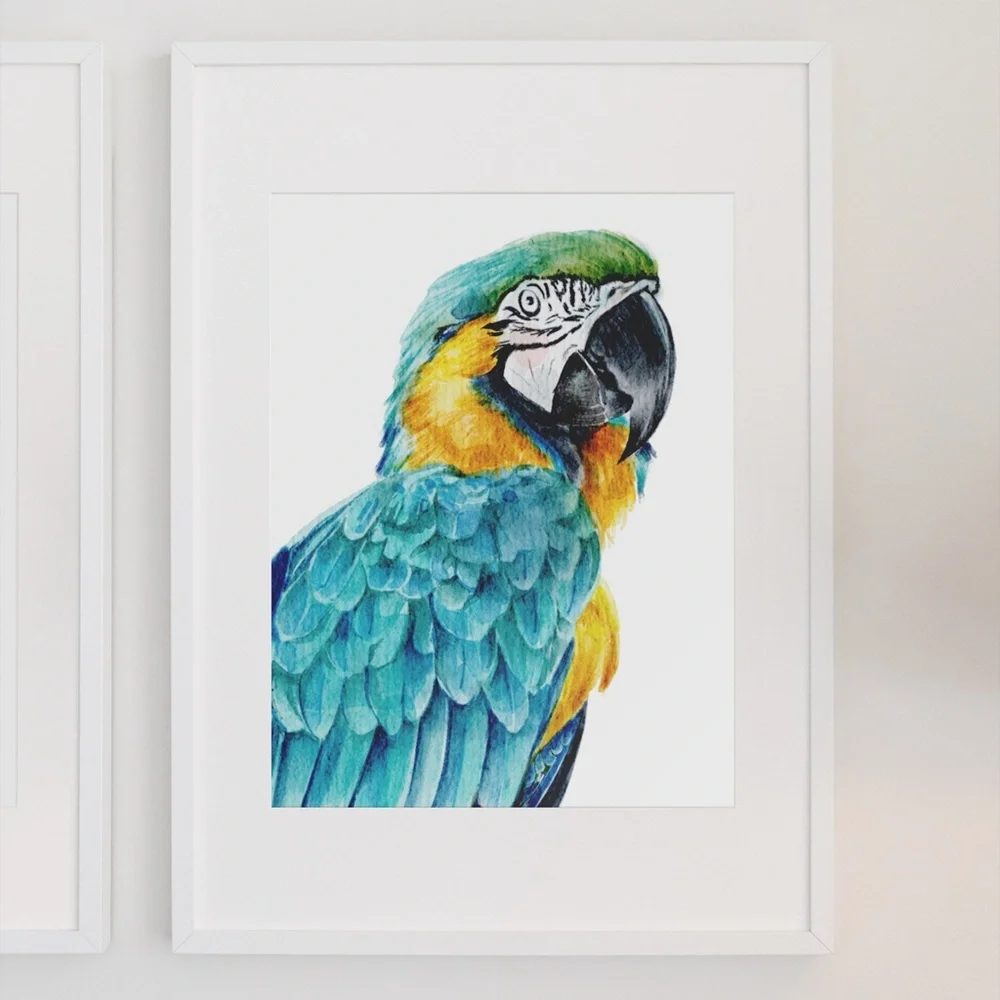 Blue Macaw Parrot Bird Watercolor Wall Art Print Poster Unframed - Picture 3 of 8